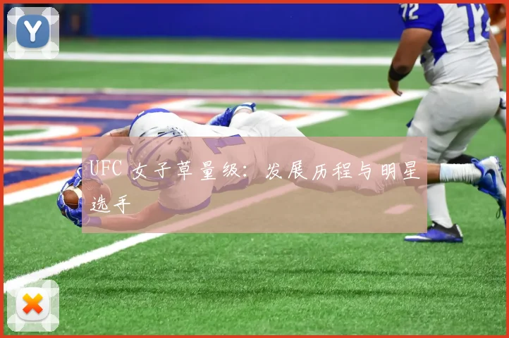 UFC 女子草量级:发展历程与明星选手