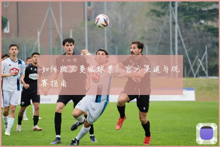 维尼修斯身价飙升:揭秘他的成长之路与未来潜力