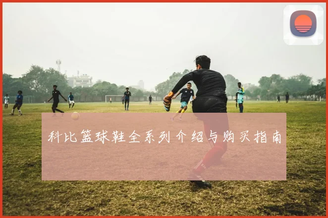 科比篮球鞋全系列介绍与购买指南