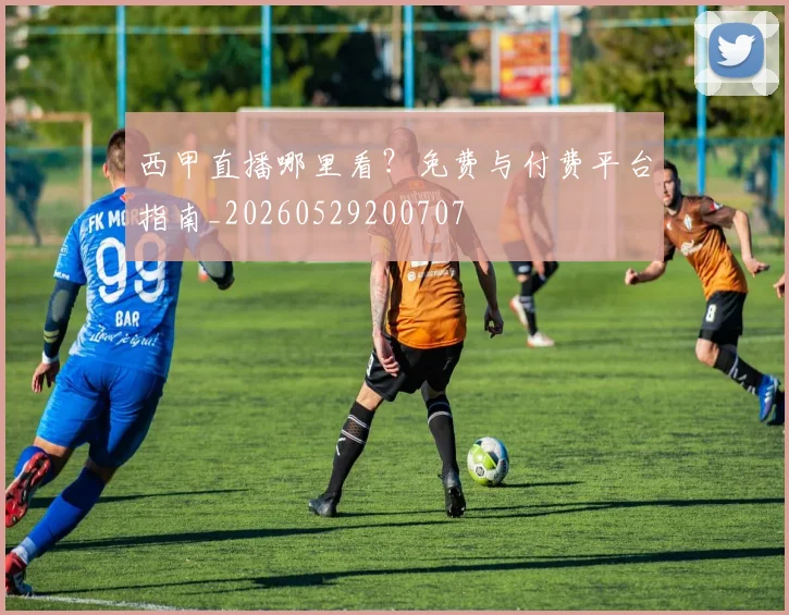 西甲直播哪里看?免费与付费平台指南_20260529200707