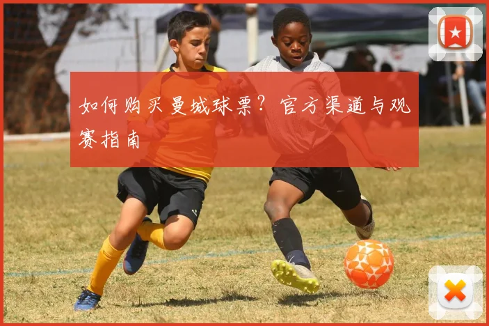 维尼修斯身价飙升:揭秘他的成长之路与未来潜力