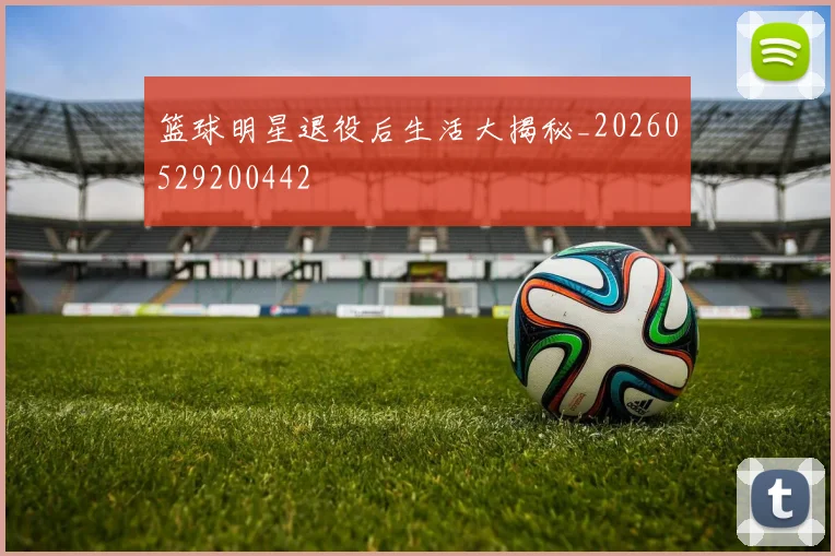 篮球明星退役后生活大揭秘_20260529200442